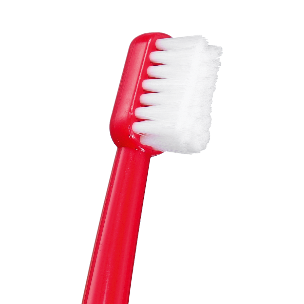 Productshot_Toothbrush_CS_Surgical_closeup