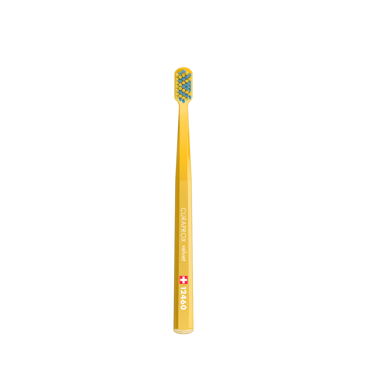 73327847_Productshot_SpecialEditon_Velvet_Carissa Carlson_2026_right