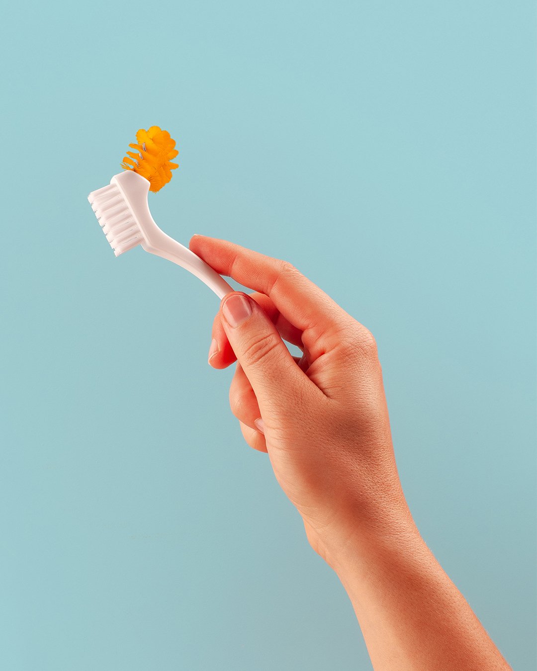 Editorial_BDC_Curaprox Denture Cleaning Brush_BDC_Orange